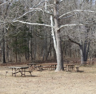 Cardinal picnic area