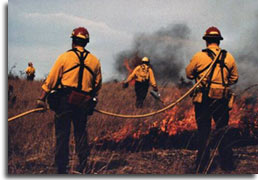 Wildland firefighters
