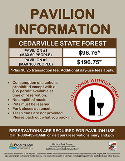 Picnic Pavilion in Cedarville State Forest