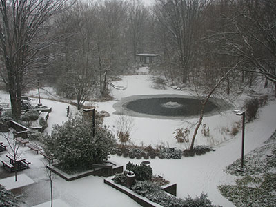 Tawes Garden in the Winter covered in snow
