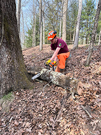 person standing in nature