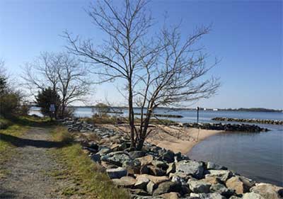 Trail along the water, there are trees, stone bulkheads, a small beach and stone jettys
