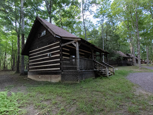 Rustic looking log cabins tucked into the woods with trees all around