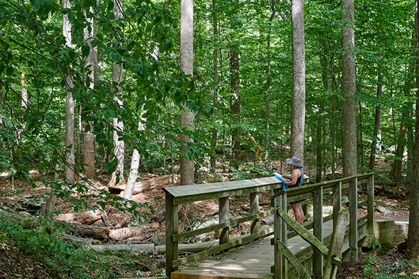 CUNNINGHAM FALLS STATE PARK