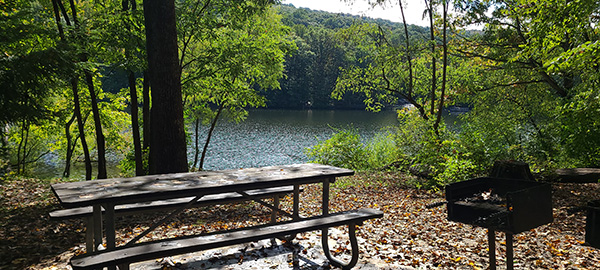 Picnicking