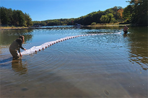 Living shoreline.
