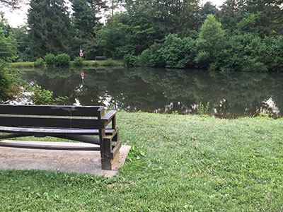 Fishing pond and bench