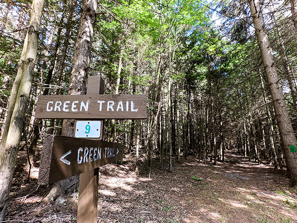 Entrance to the green trail, signs point the way into a dense forest of mature trees. The trail disappears as it goes off into the woods.