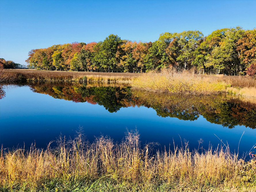 Photo of lake near Harriet Tubman Visitor Center. Photo by Dana Paterra.