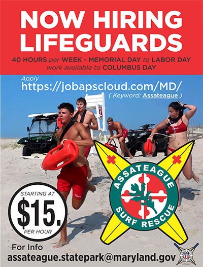 Lifeguard poster - for information call 410-641-2120