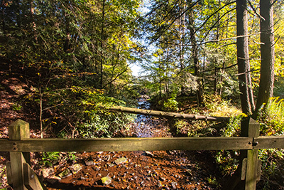 A view from New Germany State Park