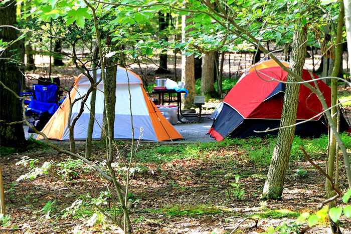 tent site with picnic tables in the woods