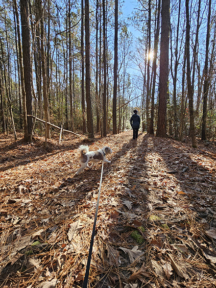 dog and person hiking