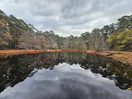 shad landing area