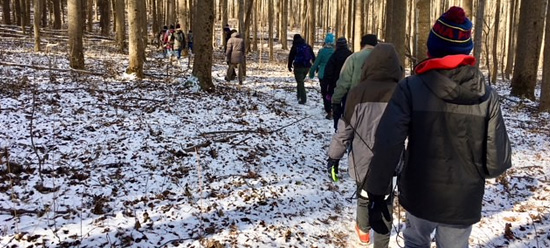 Hikers on a wooded trail surrounded by snow