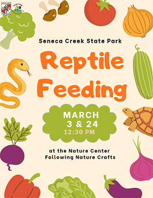 links to pdf version of Reptile Feeding Flyer
