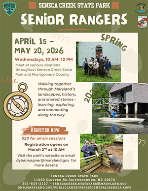 links to pdf version of Senior-Rangers flyer