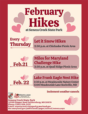 links to pdf version of February hikes Flyer