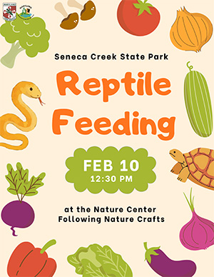 links to pdf version of Reptile Feeding Flyer