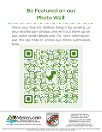 Be Featured On Our Wall!