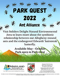Park Quest 2022: Ant Alliance