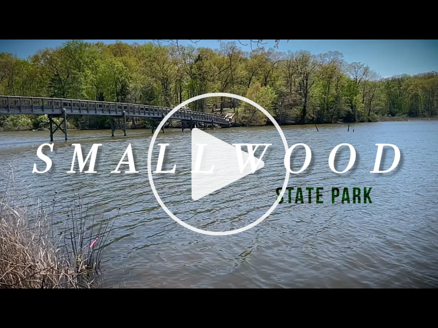 Smallwood State Park