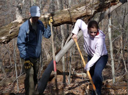 volunteers improving a trail