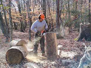 VCC member dealing with a fallen tree