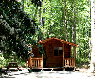 Camper cabin in campground