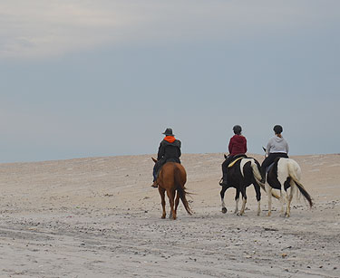 Horseback riding on beach