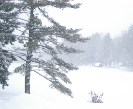 Snow at New Germany State Park