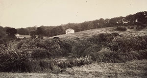 Herrington Manor House on the hill.