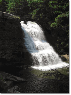 Photo of Muddy Creek Falls courtesy of Roy Musselwhite.