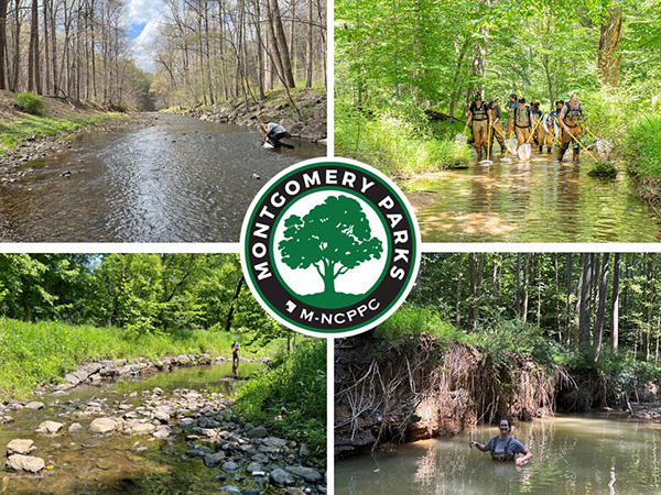 collage of four photos showing different types of stream monitoring, with the Montgomery Parks M-NCPPC logo in the center