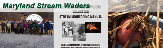 Stream Waders Cover