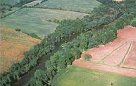 Example of a forest buffer photo 
