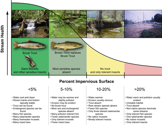 Graph showing how more impervious surfaces contribute to stream health decline