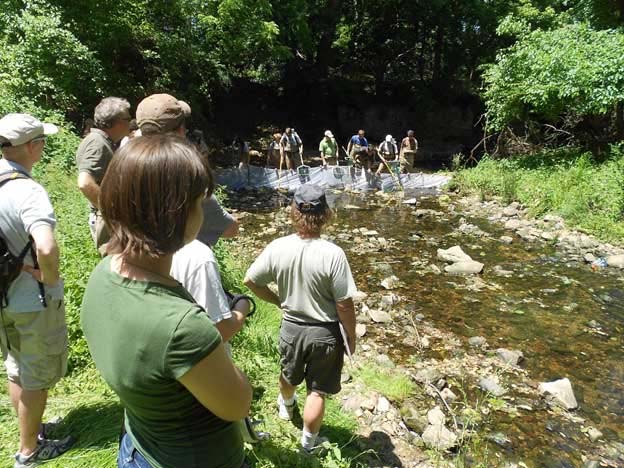 People surveying a stream