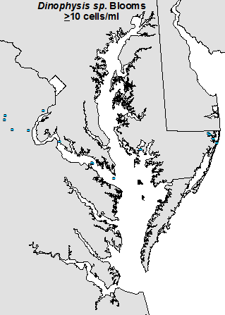 Distribution of Dinophysis blooms in MD (2000-2013)