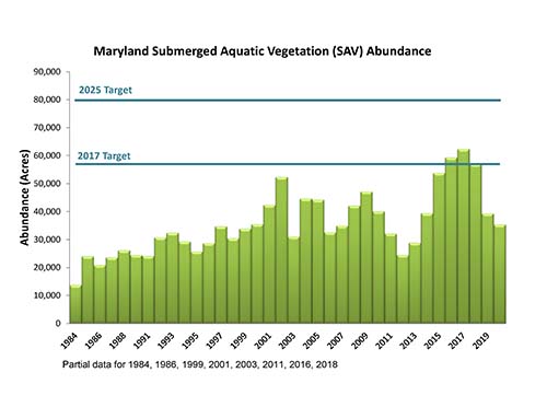 Maryland SAV Coverage Graph