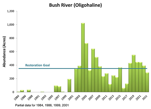 Bush River (Oligohaline)