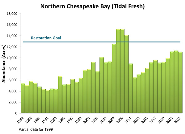 Northern Chesapeake Bay (Tidal Fresh)