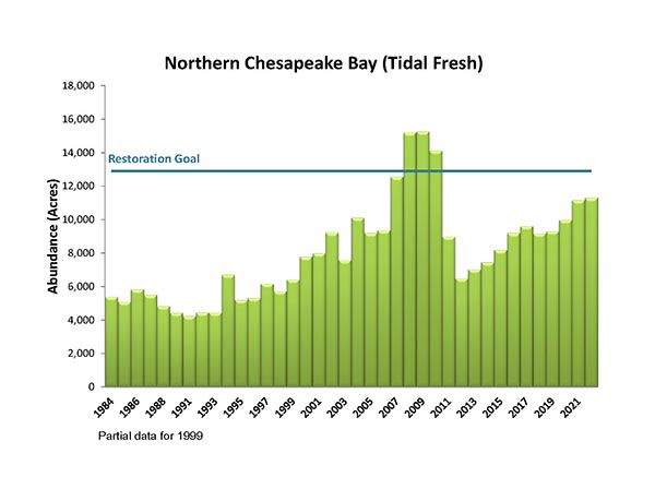 chesapeake bay tidal chart