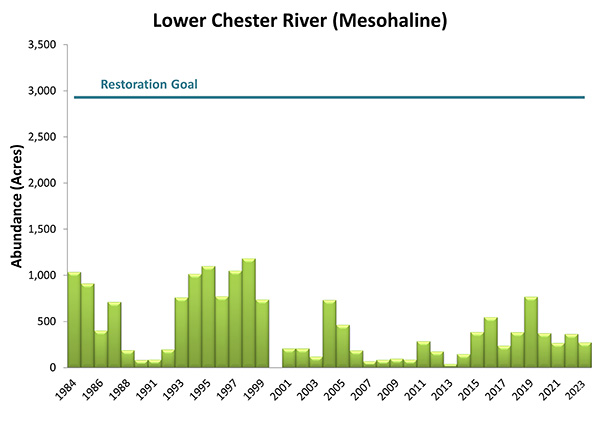 Lower Chester River (Mesohaline)