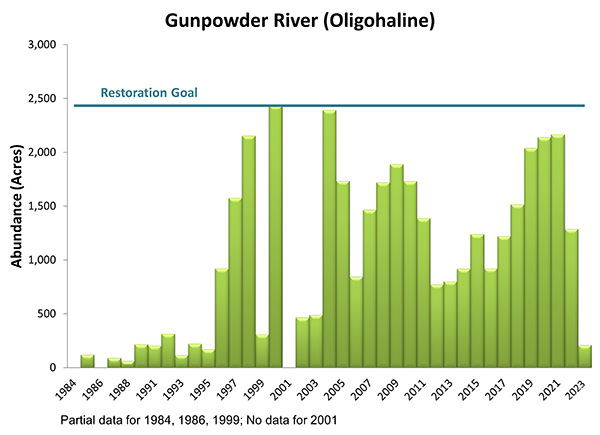 Gunpowder River (Oligohaline)