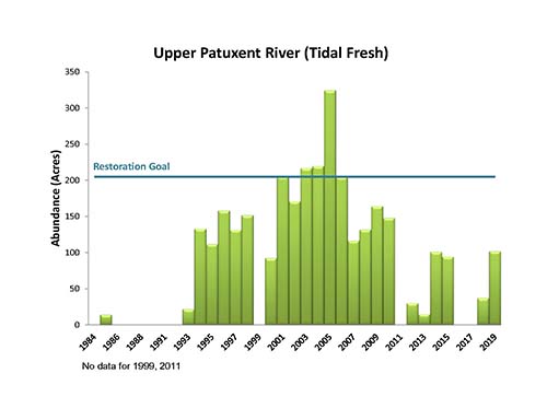 Upper Patuxent River (Tidal Fresh)