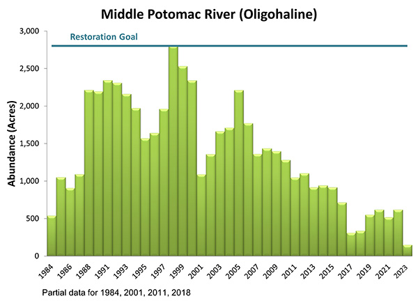 Middle Potomac River (Oligohaline)