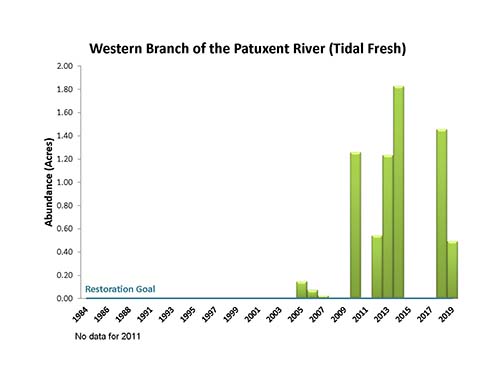 Western Branch of the Patuxent River (Tidal Fresh)