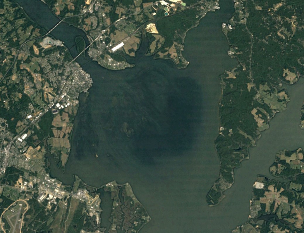 Under water view of Bay grasses
