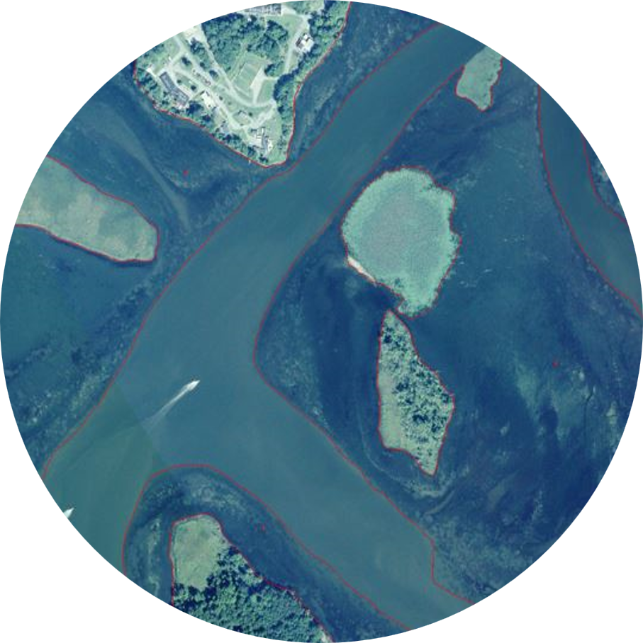 Under water view of Bay grasses